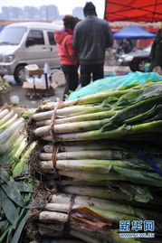 追蹤瘋狂的大蔥 經(jīng)銷商囤貨獲利千萬背后