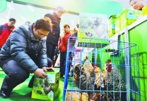 農(nóng)副產(chǎn)品直銷展銷會(huì) 800多種產(chǎn)品引近萬市民“血拼”