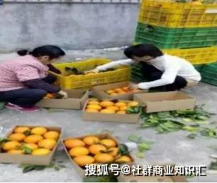 你不知道的農副產品快速銷售方法揭秘