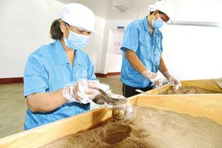 堅(jiān)定信心迎難而上，以食品銷售為支點(diǎn)決戰(zhàn)決勝脫貧攻堅(jiān)