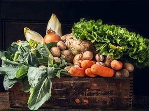 政策助力鄉(xiāng)村振興 三部門聯(lián)合發(fā)布方案鼓勵(lì)政府采購(gòu)貧困地區(qū)農(nóng)副產(chǎn)品