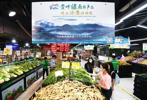 貴陽(yáng)農(nóng)村電商 為鄉(xiāng)村振興插上“金翅膀”，暢通農(nóng)副產(chǎn)品銷售新渠道